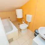 Lovorka Baška